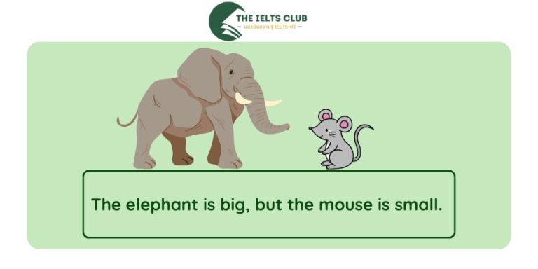 ขนาด ภาษาอังกฤษ: 25 คำศัพท์และตัวอย่างประโยคที่คุณต้องรู้